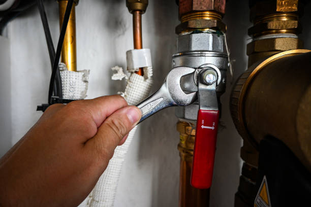 Best Plumbing Services Near Me  in Concordia, MO